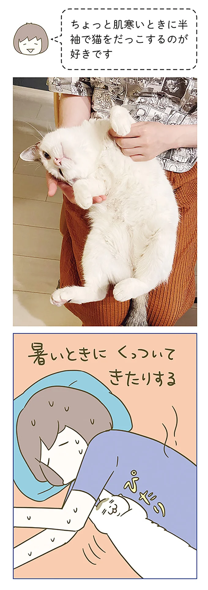 『うちの猫がまた変なことしてる。』5～8 15322145.webp