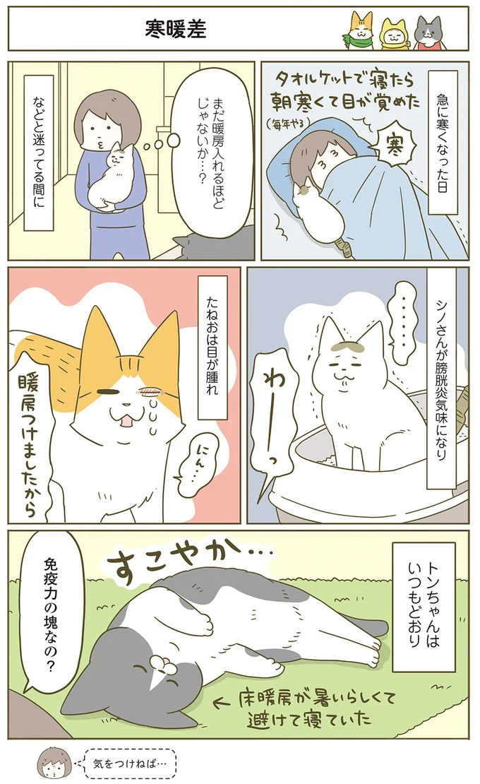 『うちの猫がまた変なことしてる。』5～8 15322150.webp
