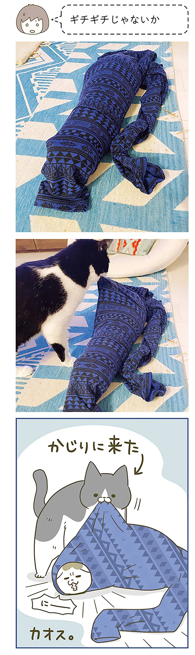 『うちの猫がまた変なことしてる。』5～8 15322152.webp