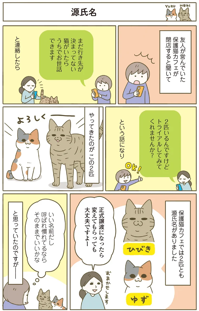 『うちの猫がまた変なことしてる。』5～8 15334108.webp