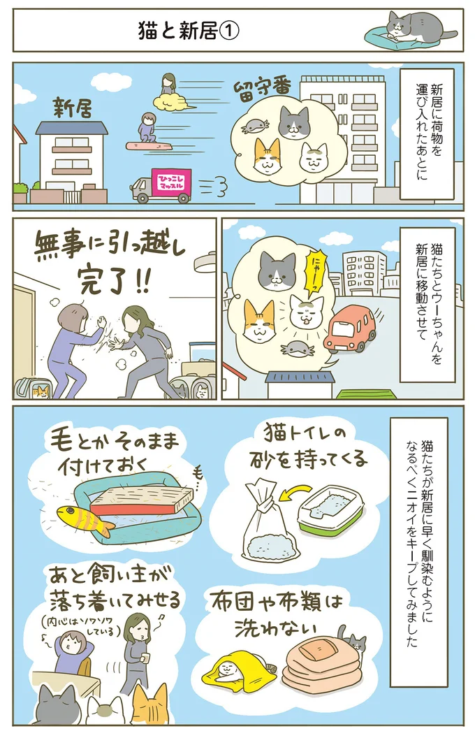 『うちの猫がまた変なことしてる。』5～8 15387059.webp