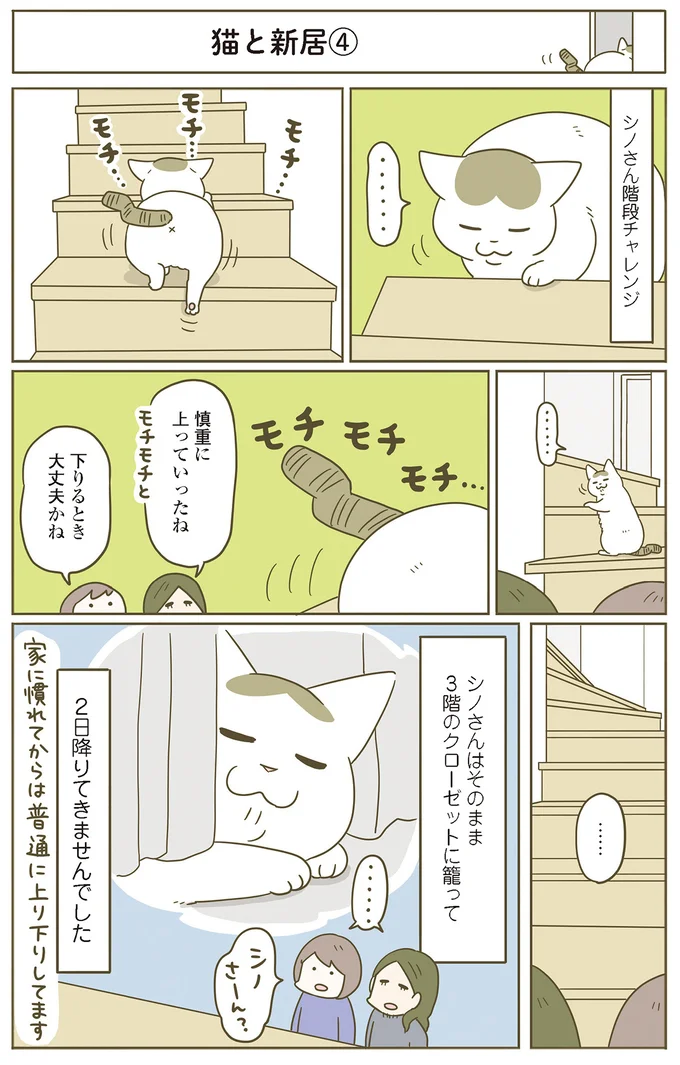 『うちの猫がまた変なことしてる。』5～8 15387062.webp