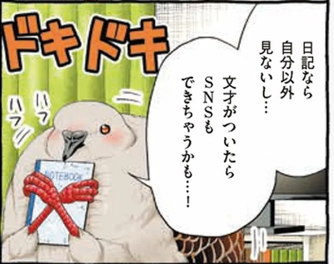 SNSデビューのため日記を始めたキジバトくん。そして気づいた衝撃の事実／キジバトくん日記