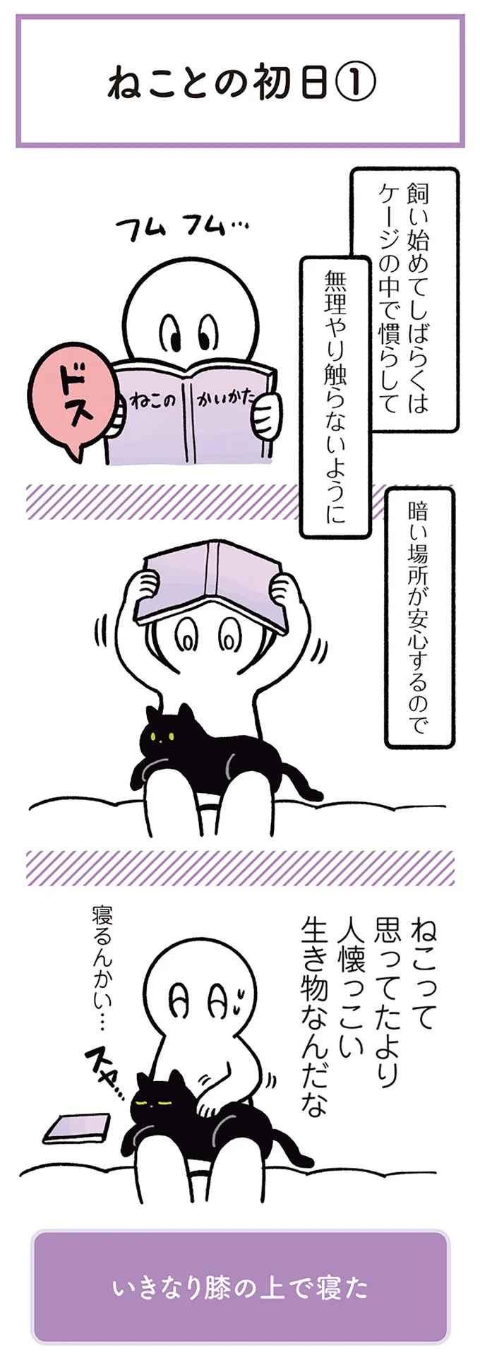 『黒猫ろんと暮らしたら』1～3 15444923.webp