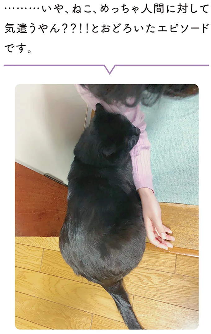 『黒猫ろんと暮らしたら』1～3 15445559.webp