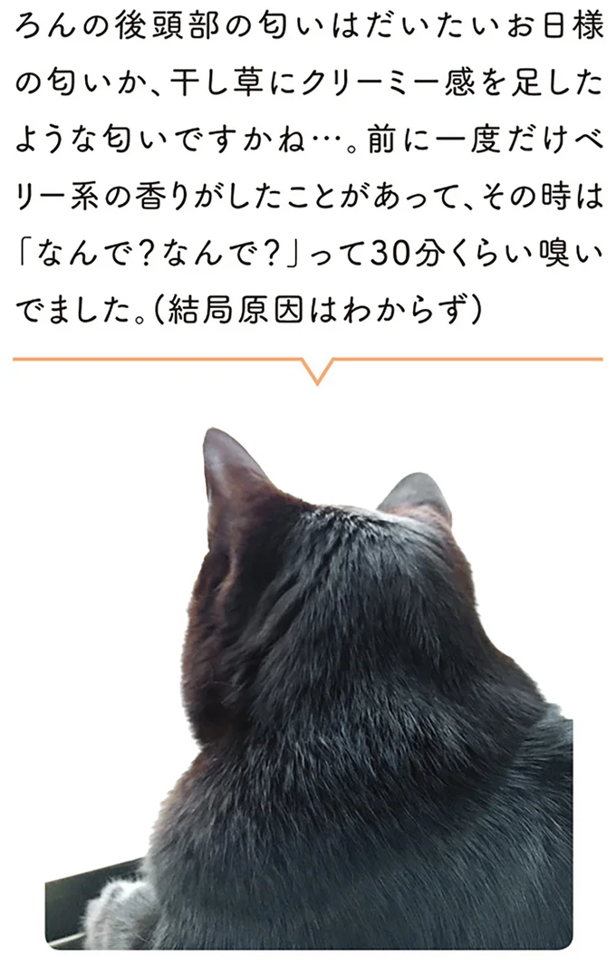 『黒猫ろんと暮らしたら』1～3 15445646.webp