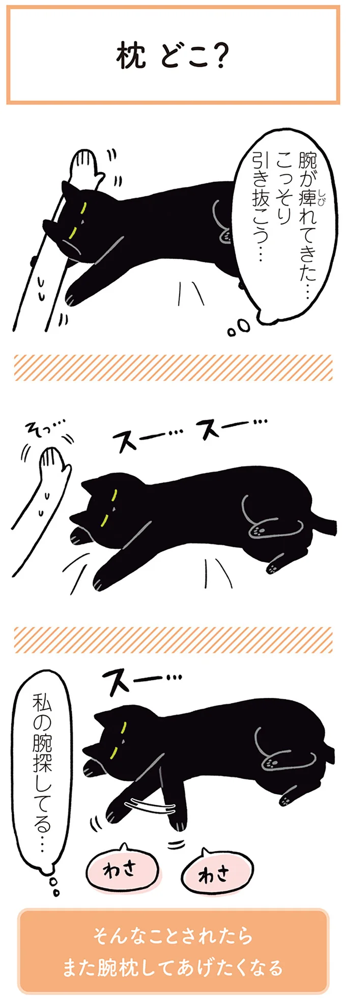 『黒猫ろんと暮らしたら』1～3 15445785.webp