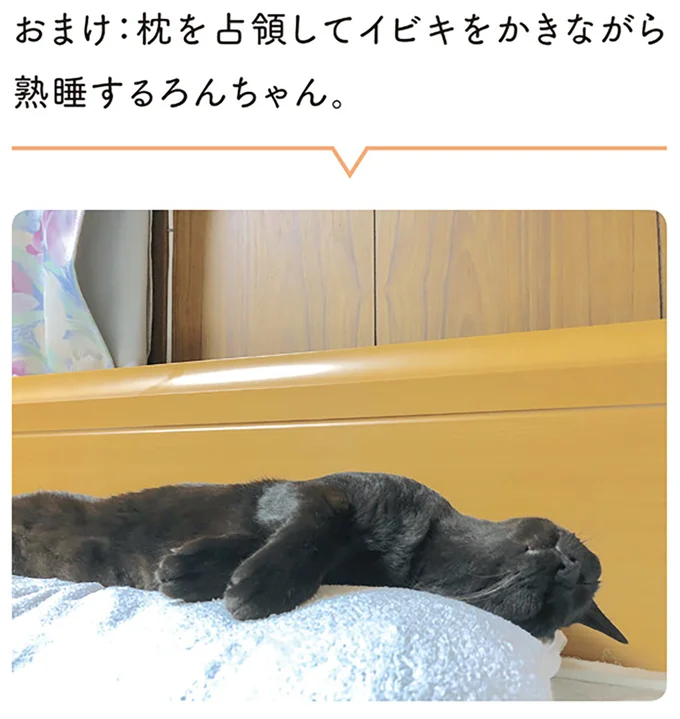 『黒猫ろんと暮らしたら』1～3 15445786.webp