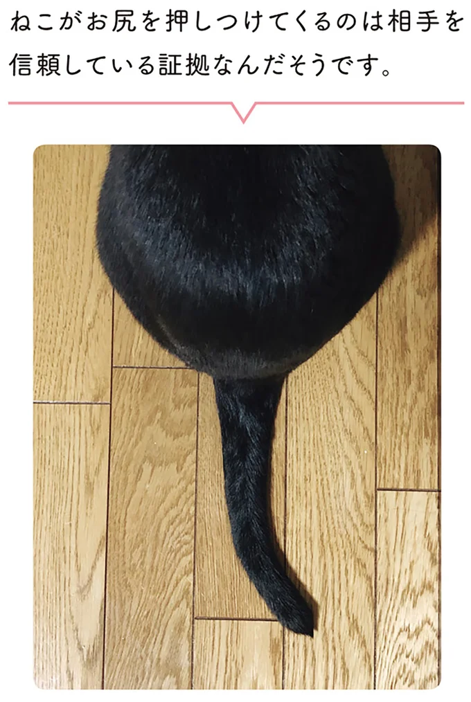 『黒猫ろんと暮らしたら』1～3 15445876.webp