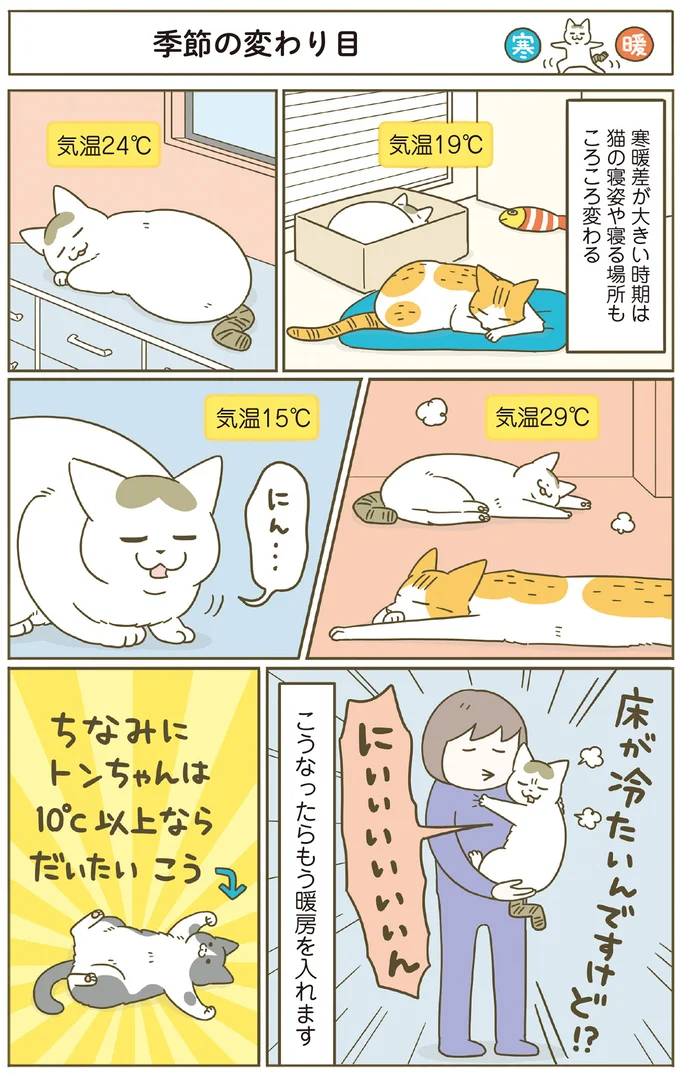 『うちの猫がまた変なことしてる。』5～8 15447245.webp
