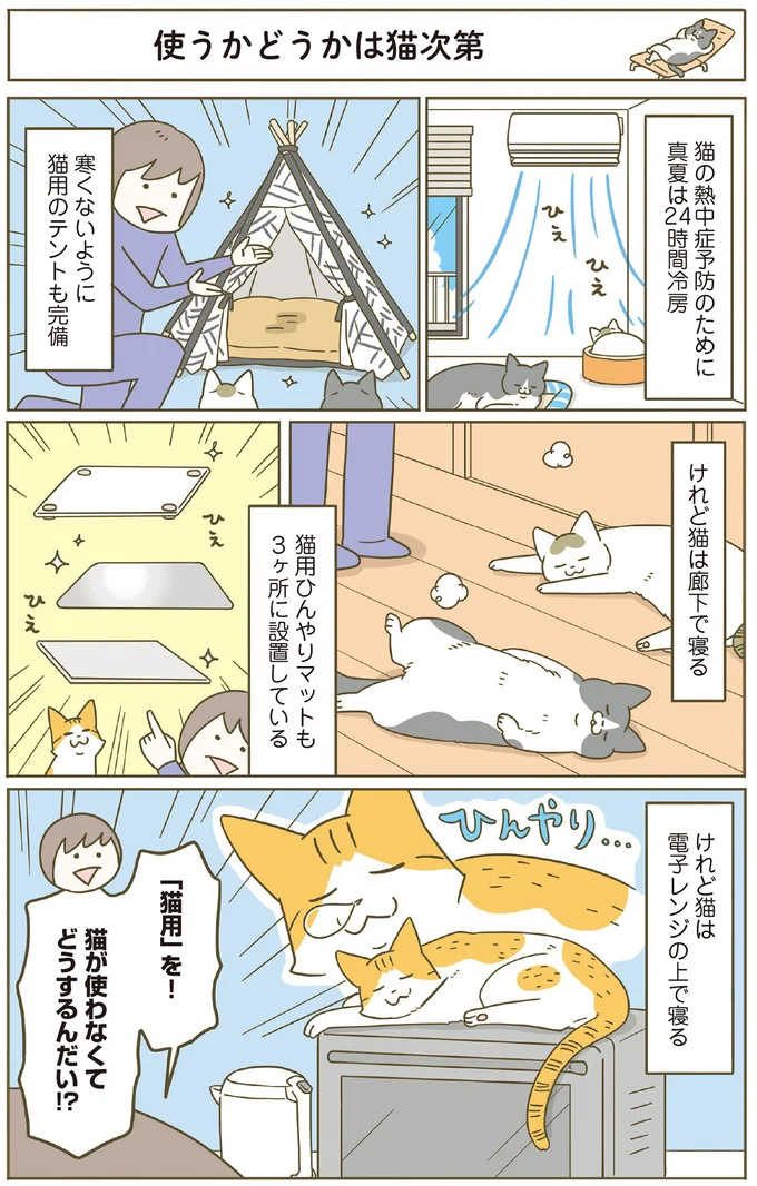 『うちの猫がまた変なことしてる。』5～8 15447246.webp