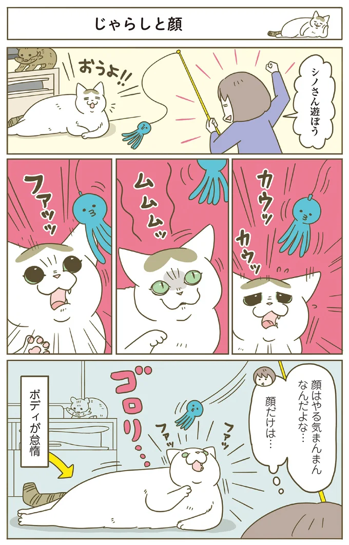 『うちの猫がまた変なことしてる。』5～8 15447257.webp