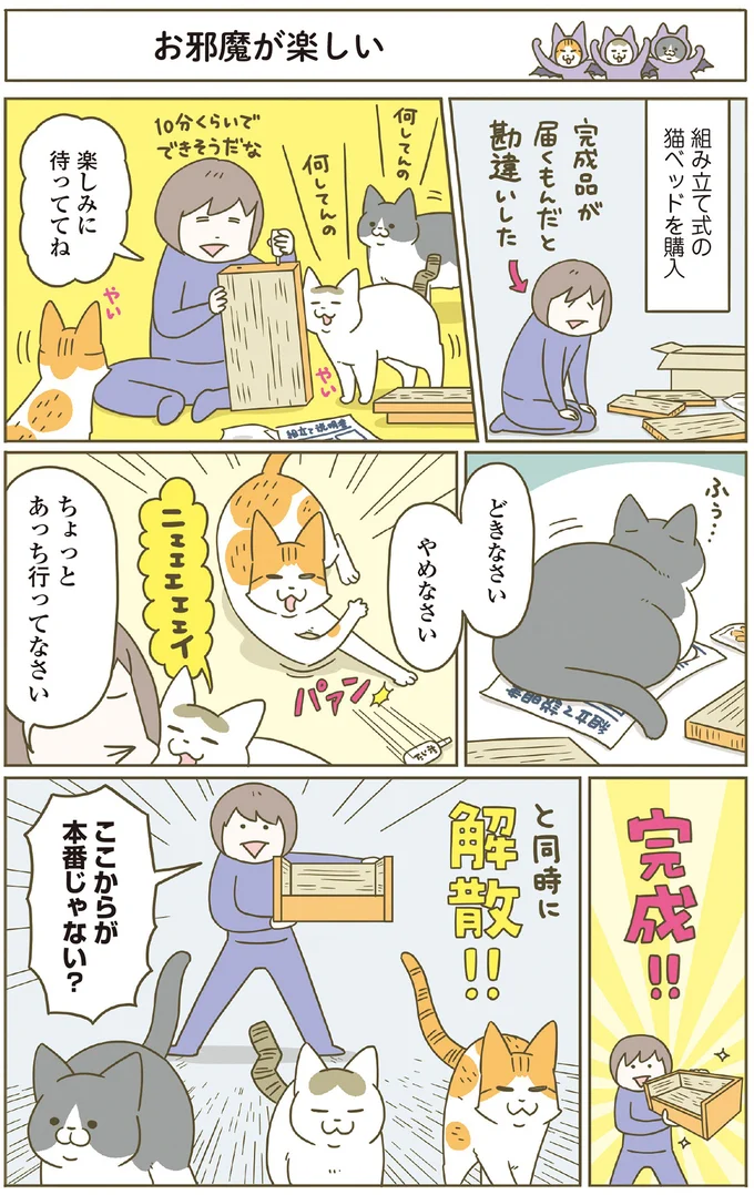 『うちの猫がまた変なことしてる。』5～8 15447258.webp