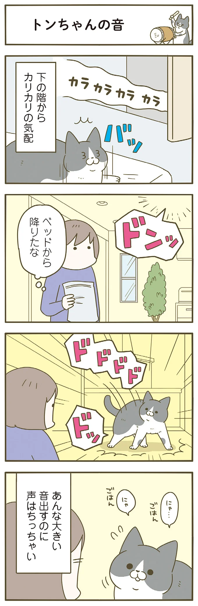 『うちの猫がまた変なことしてる。』5～8 15447270.webp
