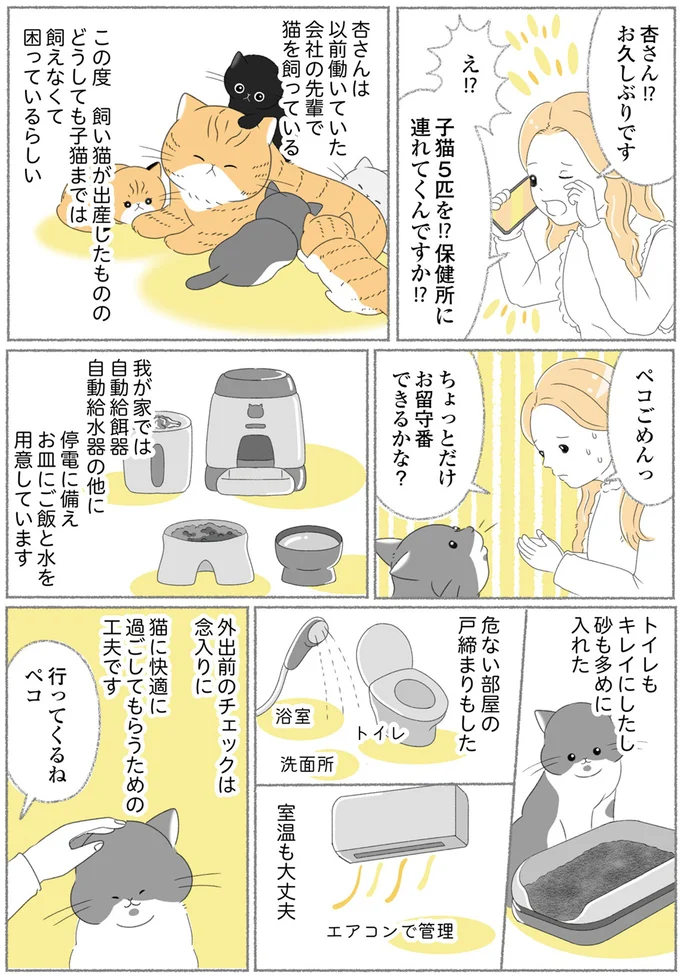 『にゃんかつ 11匹と2人の暮らし』 15467855.webp