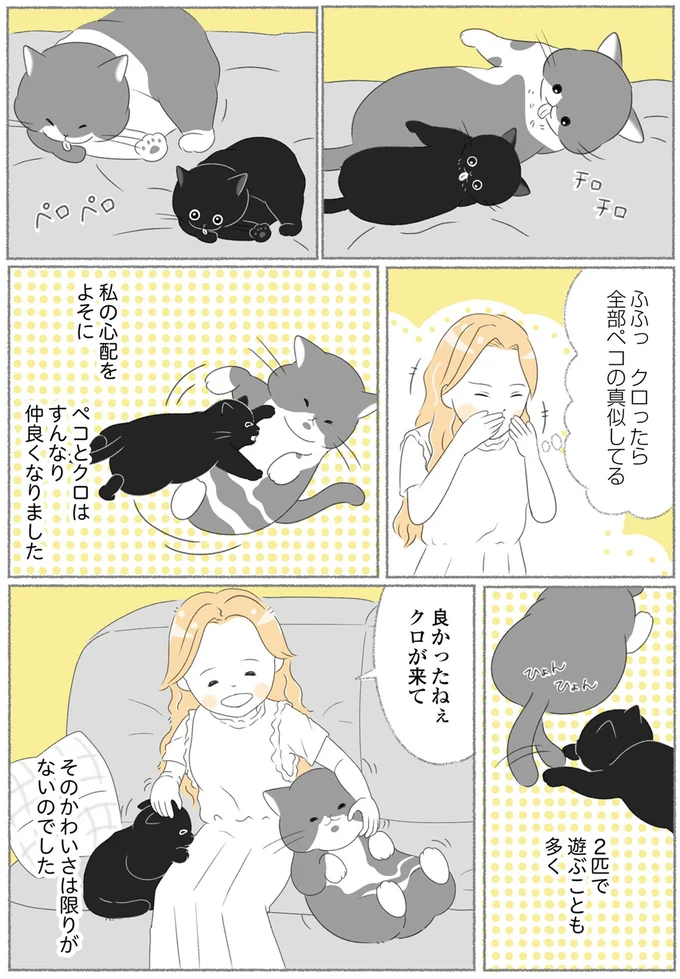 『にゃんかつ 11匹と2人の暮らし』 15467863.webp