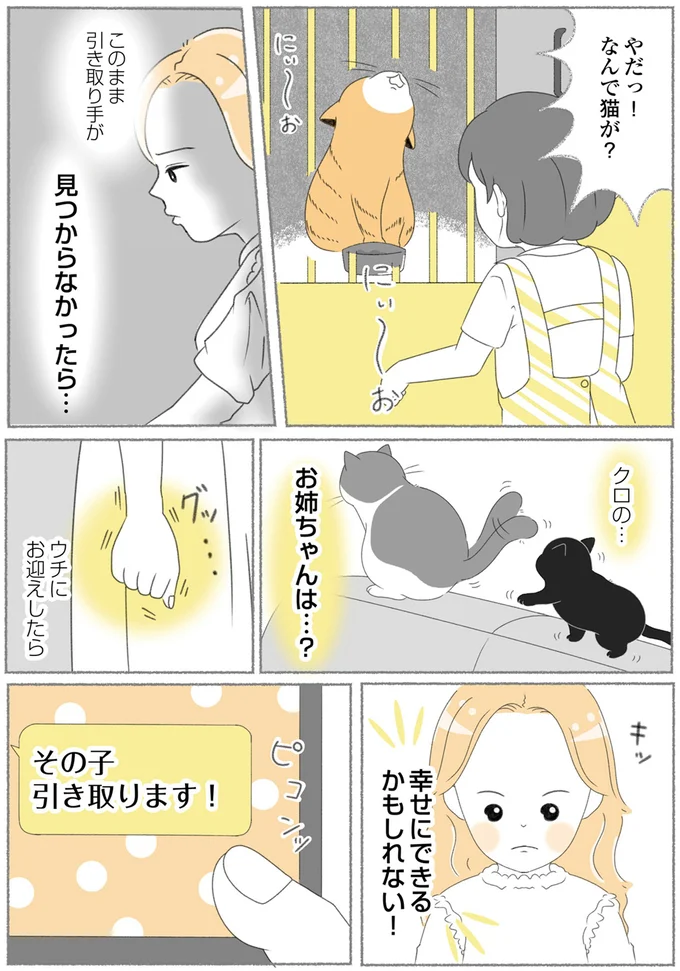 『にゃんかつ 11匹と2人の暮らし』 15467867.webp