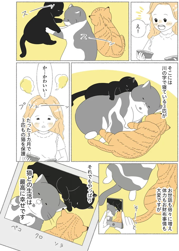 『にゃんかつ 11匹と2人の暮らし』 15467875.webp