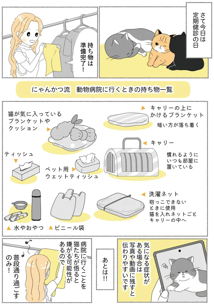 『にゃんかつ 11匹と2人の暮らし』 15467876.webp