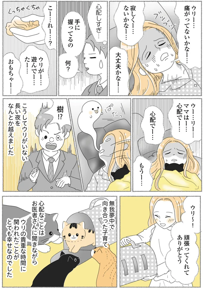 『にゃんかつ 11匹と2人の暮らし』 15469210.webp