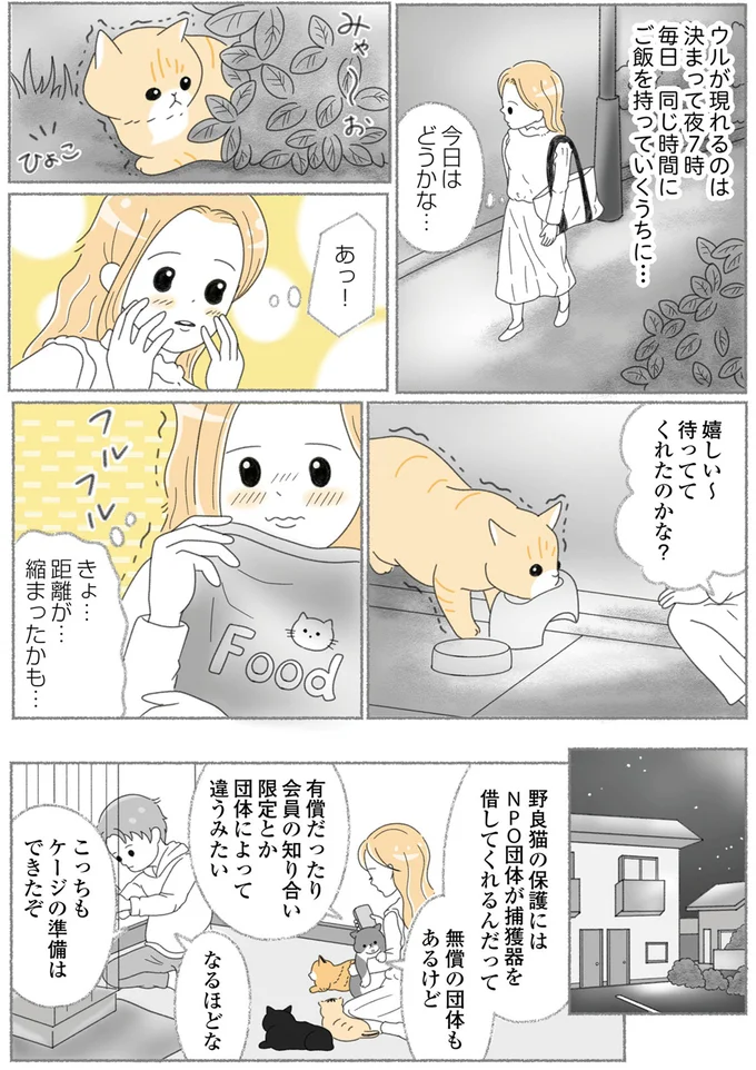 『にゃんかつ 11匹と2人の暮らし』 15469219.webp