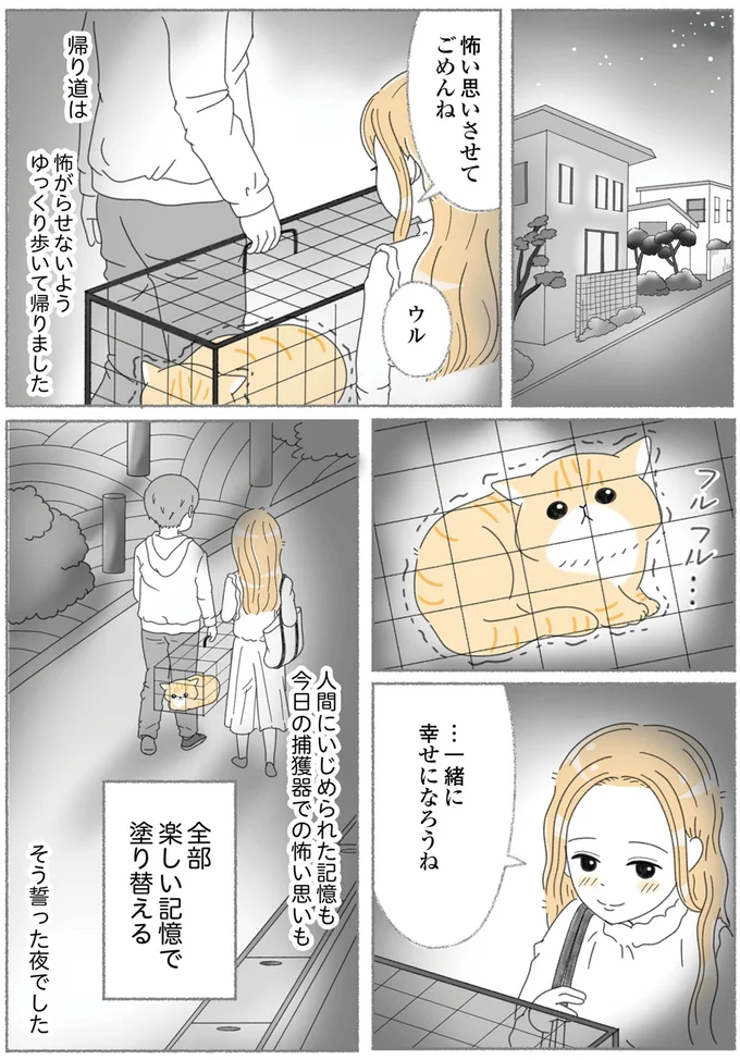 『にゃんかつ 11匹と2人の暮らし』 15469224.webp