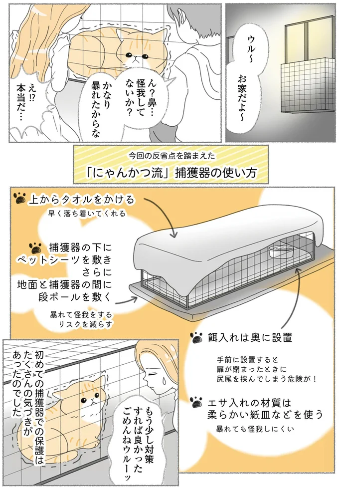 『にゃんかつ 11匹と2人の暮らし』 15469225.webp