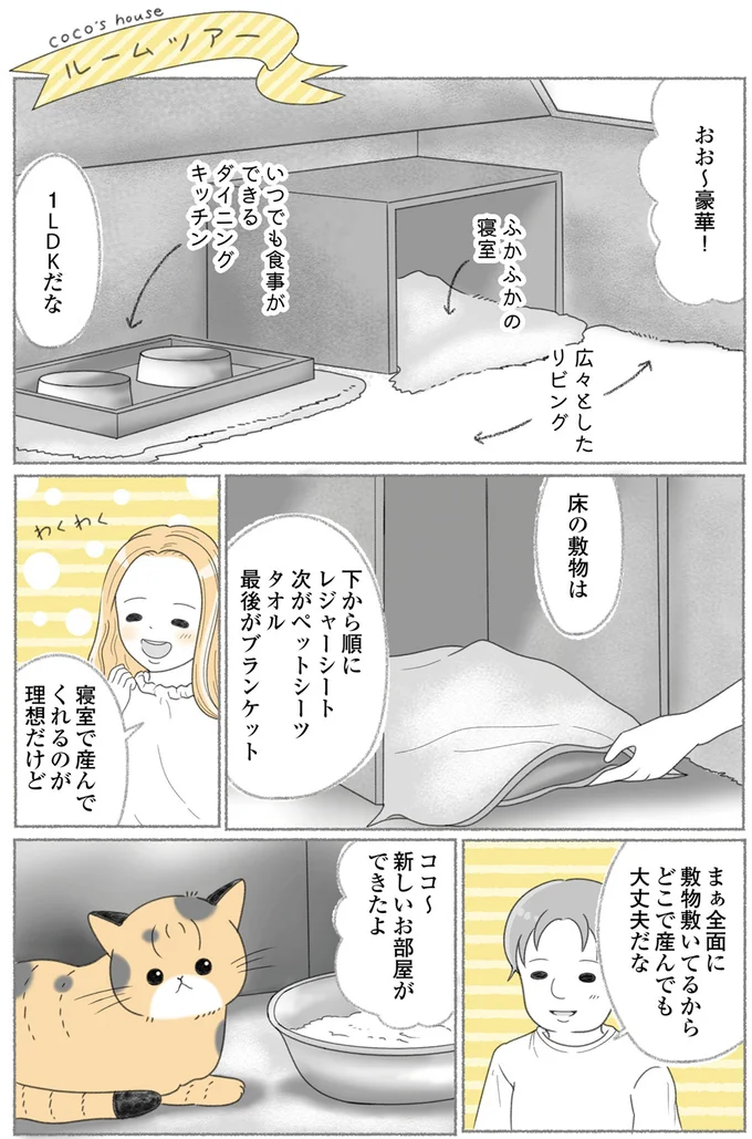 『にゃんかつ 11匹と2人の暮らし』 15469260.webp