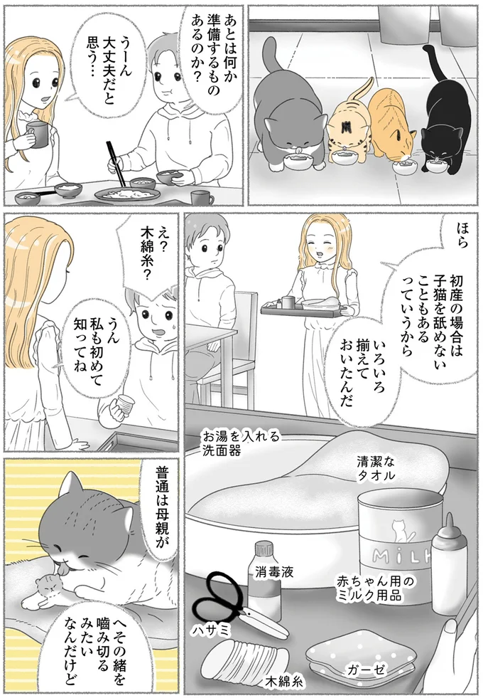 『にゃんかつ 11匹と2人の暮らし』 15469262.webp