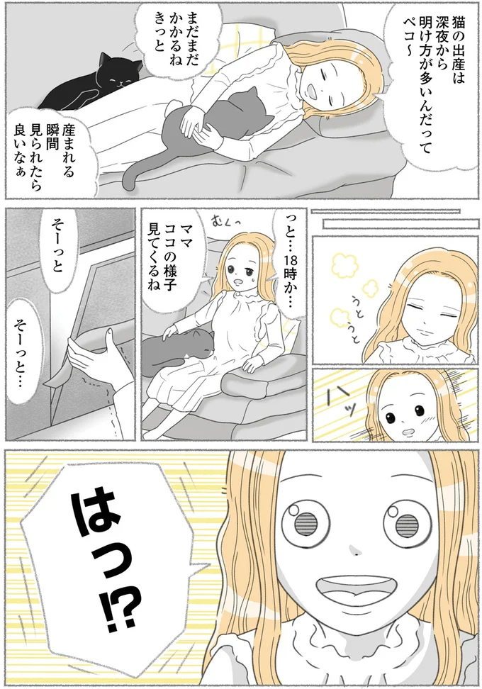 『にゃんかつ 11匹と2人の暮らし』 15469265.webp