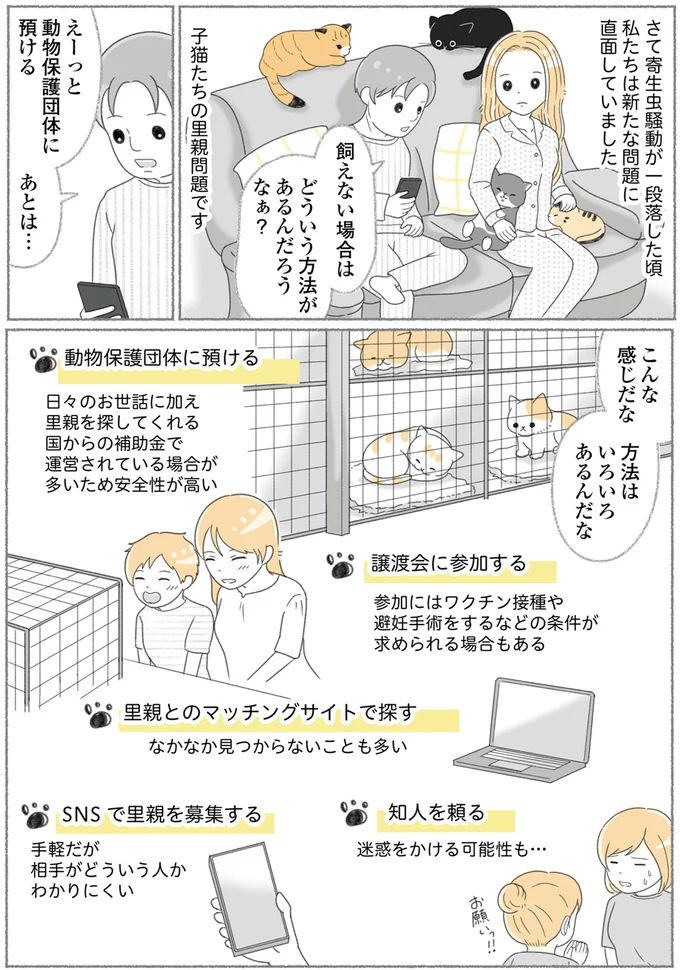 『にゃんかつ 11匹と2人の暮らし』 15469284.webp