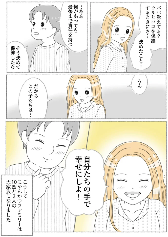 『にゃんかつ 11匹と2人の暮らし』 15469286.webp