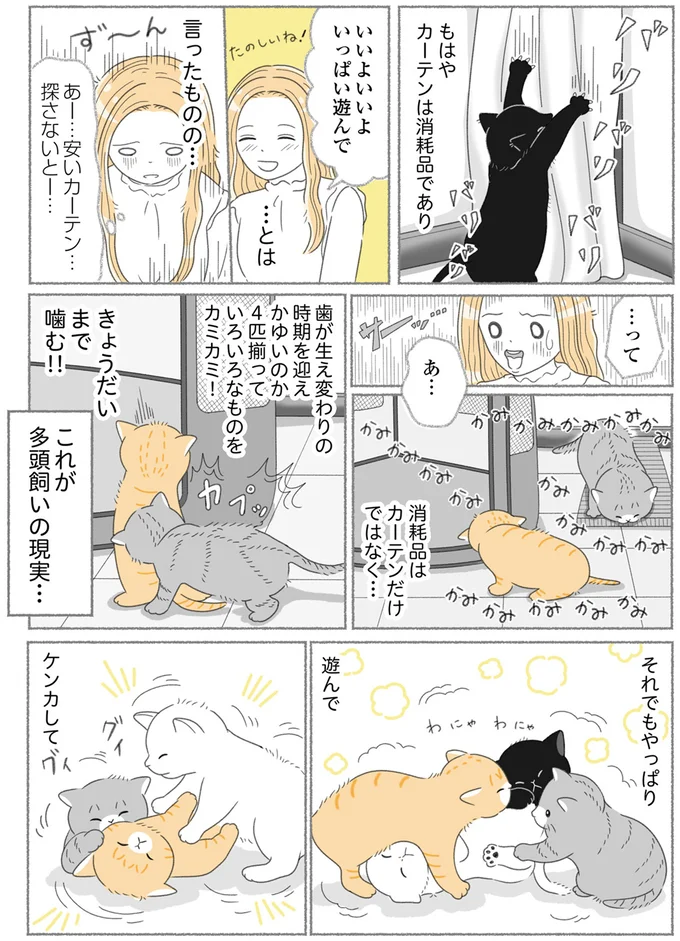 『にゃんかつ 11匹と2人の暮らし』 15469293.webp