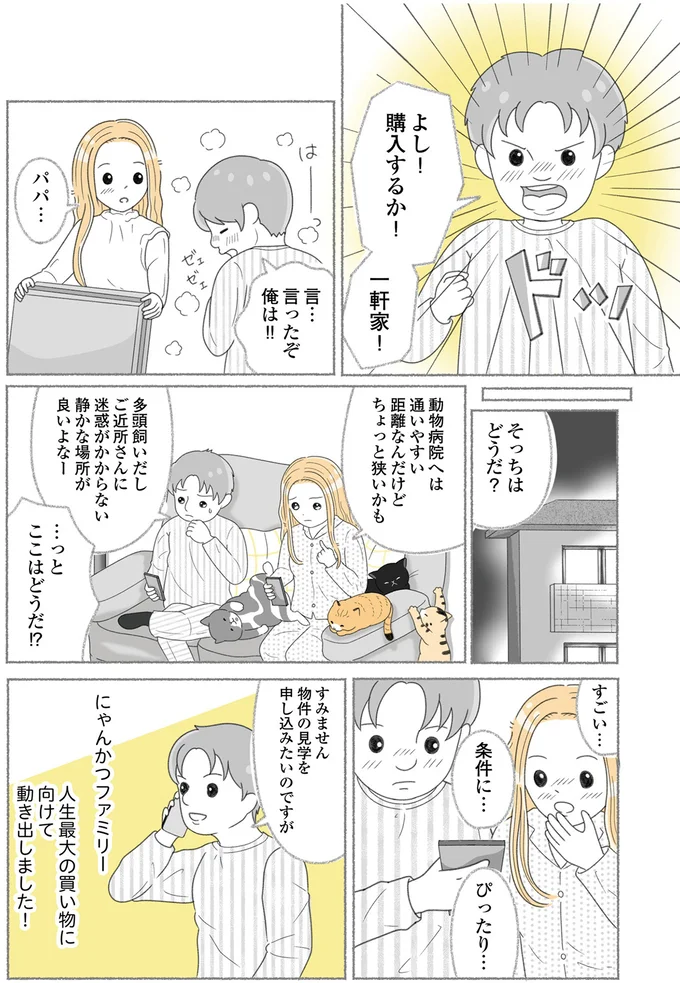 『にゃんかつ 11匹と2人の暮らし』 15469296.webp