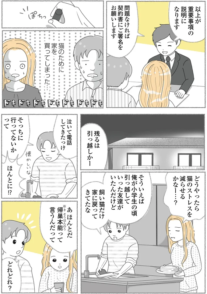 『にゃんかつ 11匹と2人の暮らし』 15469302.webp