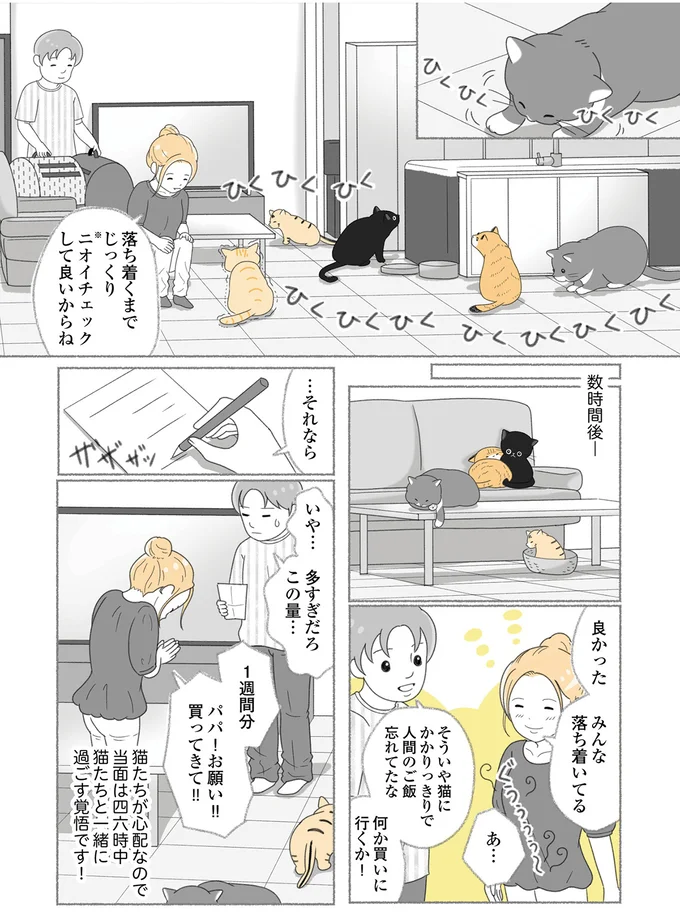 『にゃんかつ 11匹と2人の暮らし』 15469311.webp