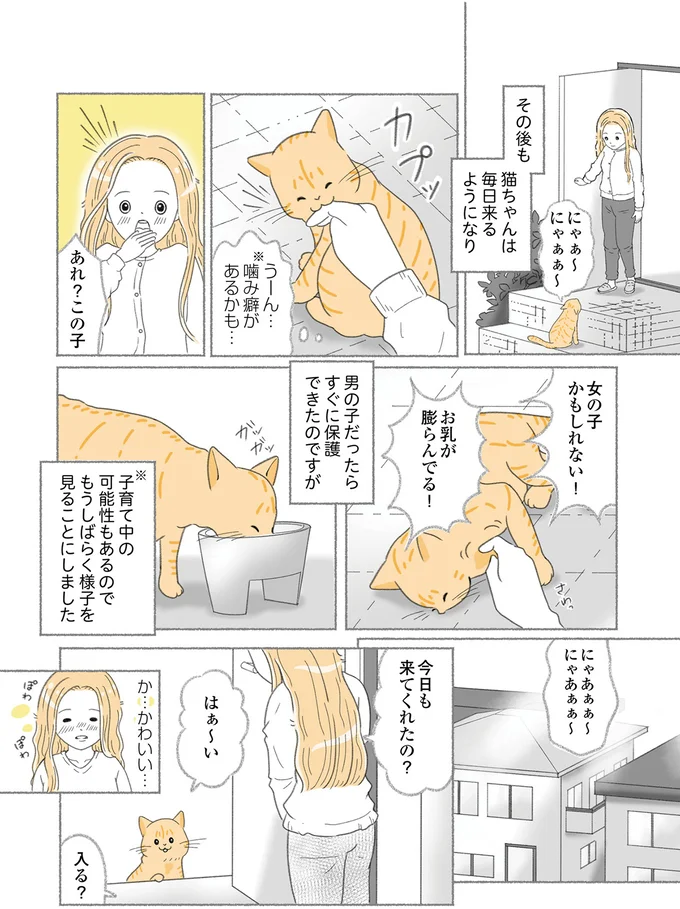 『にゃんかつ 11匹と2人の暮らし』 15469315.webp