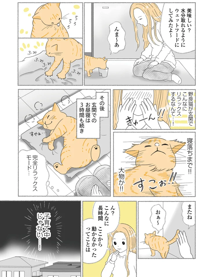 『にゃんかつ 11匹と2人の暮らし』 15469316.webp