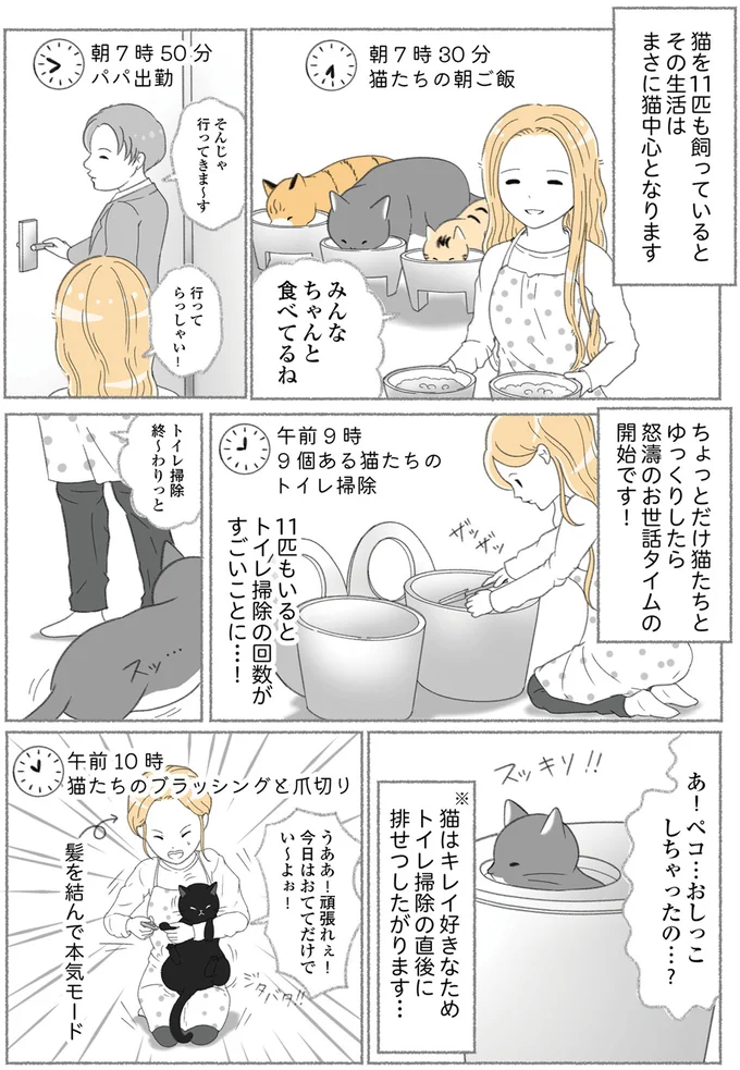 『にゃんかつ 11匹と2人の暮らし』 15469323.webp
