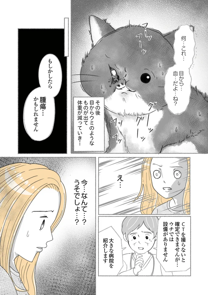 『にゃんかつ 11匹と2人の暮らし』 15469327.webp