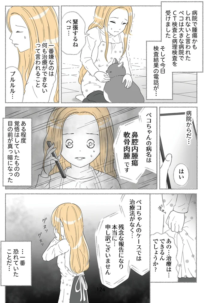 『にゃんかつ 11匹と2人の暮らし』 15469337.webp