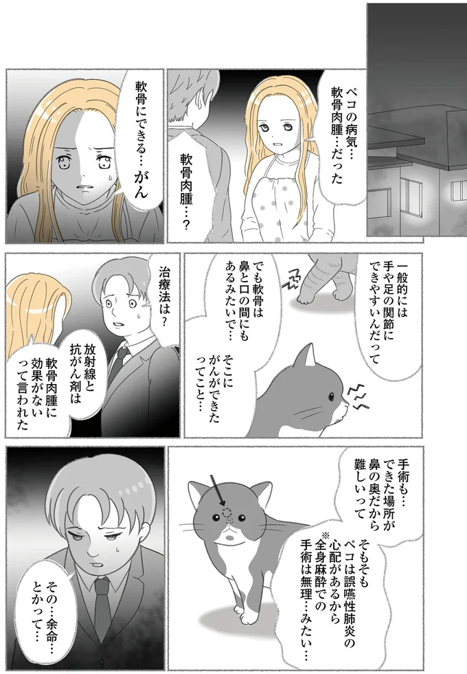 『にゃんかつ 11匹と2人の暮らし』 15469338.webp