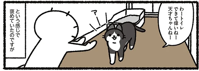 猫への声かけも年相応に！ やたら褒めていたが今では...／あっち こっち ネッチ！