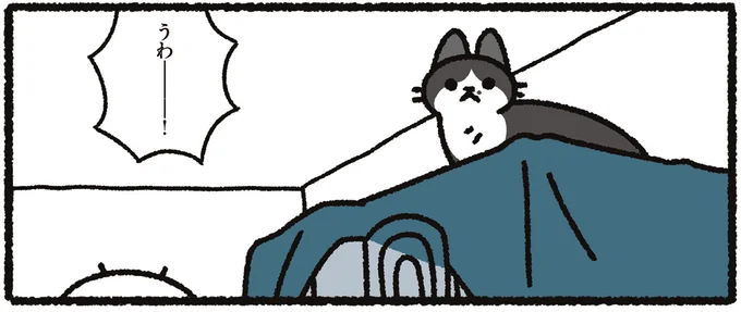 「なんだその顔は...」高いところに登った猫。飼い主が下ろそうとしたら⁉／あっち こっち ネッチ！