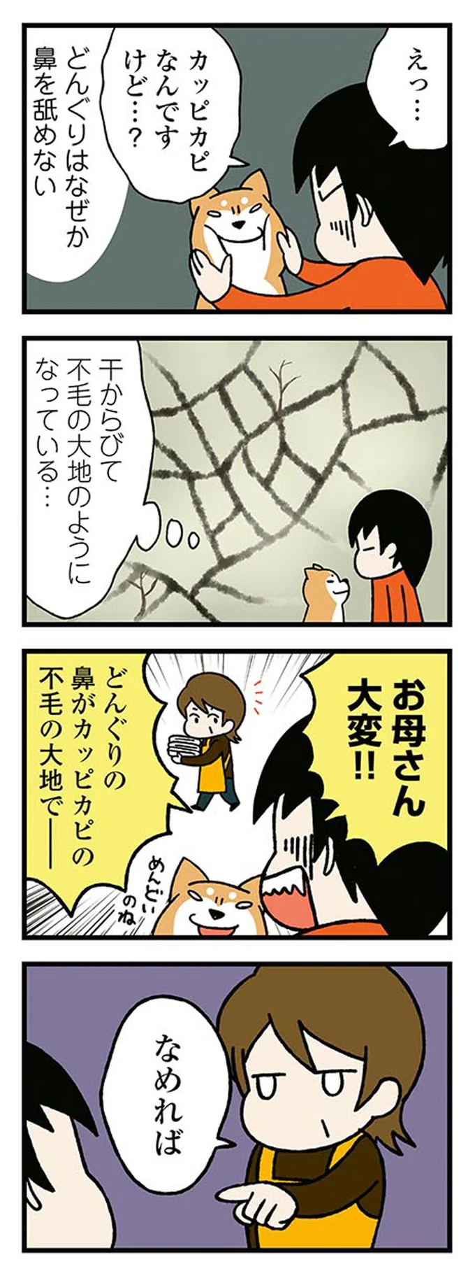 『ドヤ顔柴犬どんぐり』1～3 15476408.webp
