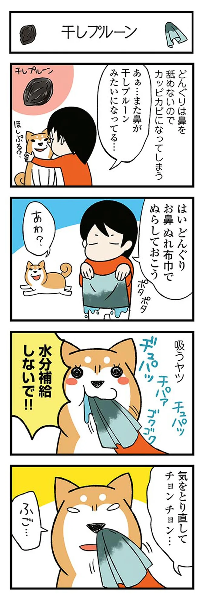 『ドヤ顔柴犬どんぐり』1～3 15476410.webp