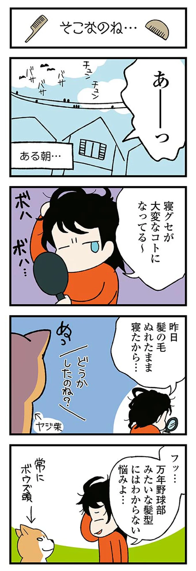 『ドヤ顔柴犬どんぐり』1～3 15476416.webp
