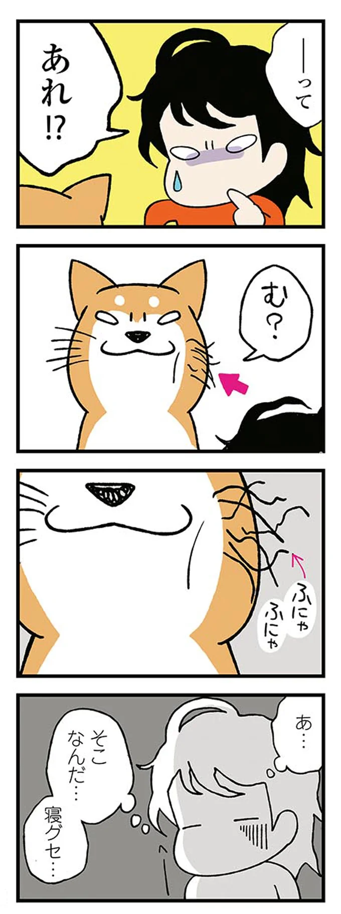 『ドヤ顔柴犬どんぐり』1～3 15476417.webp