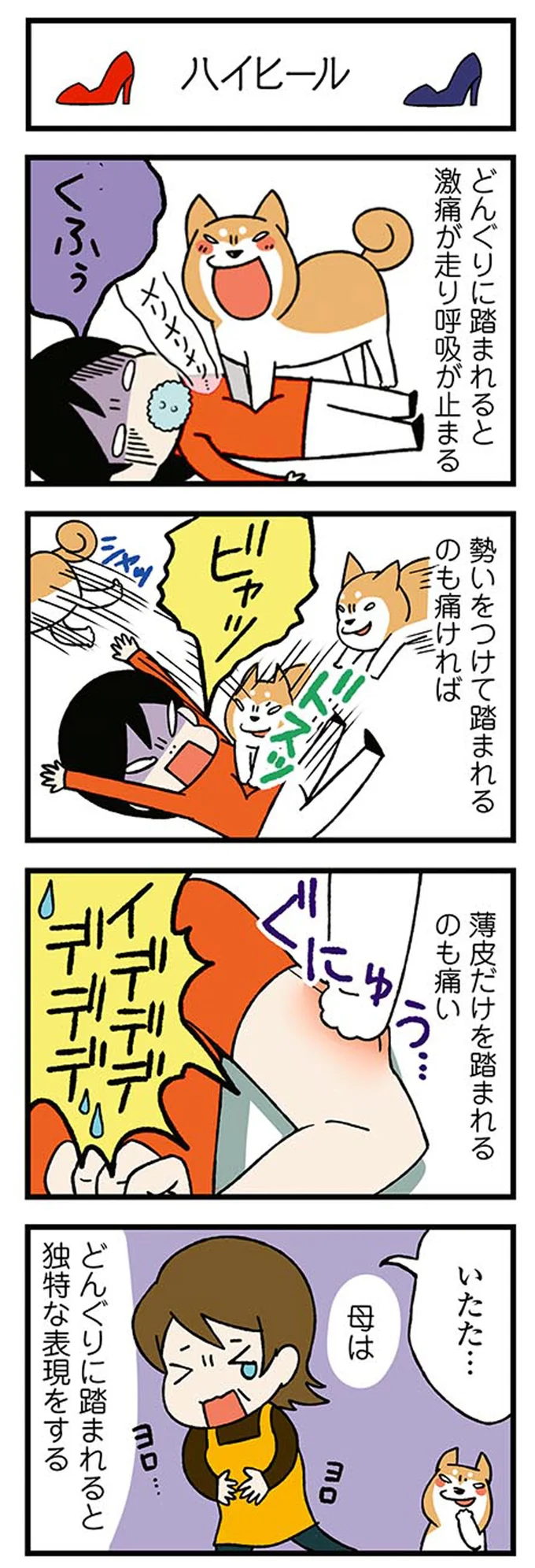 『ドヤ顔柴犬どんぐり』1～3 15476424.webp