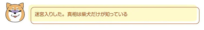 『ドヤ顔柴犬どんぐり』1～3 15476429.webp
